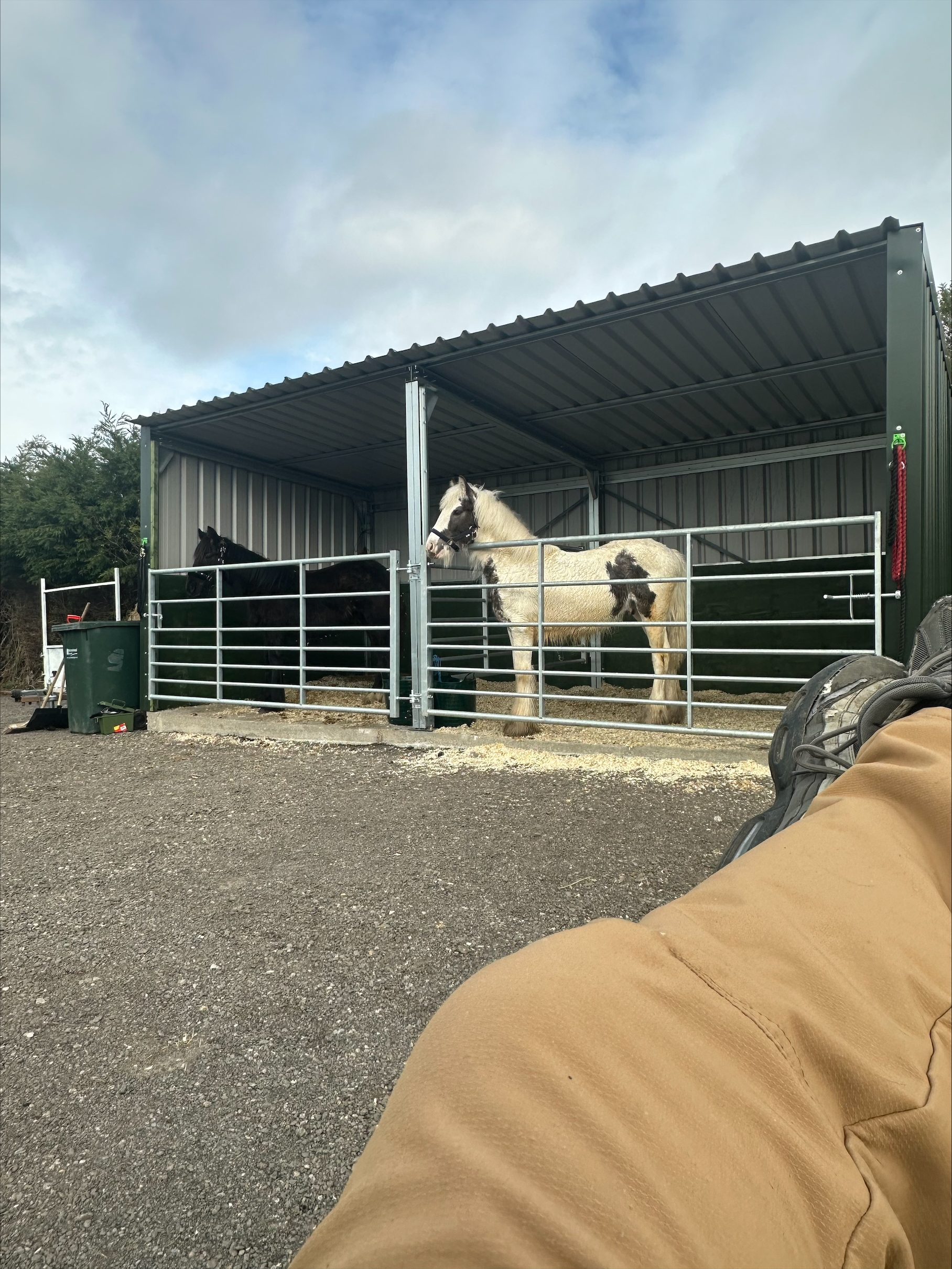 equine field shelter